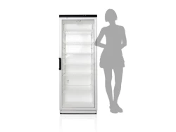 Szafa chłodnicza Apteczna 290l | Medical